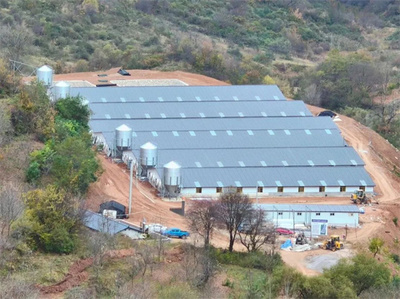 天水市清水縣草川鋪鎮:聚力&ldquo;五個聚焦&rdquo; 助力村集體經濟發展提質增效